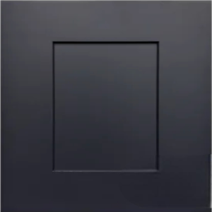 Maple Cyberspace Sample Door