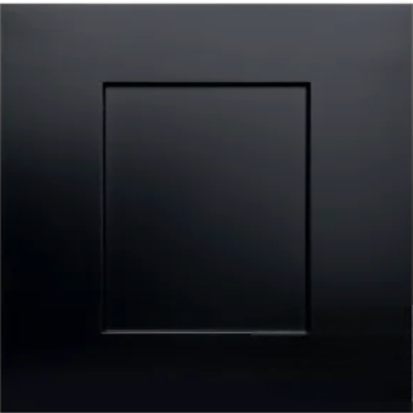 Maple Black Sample Door